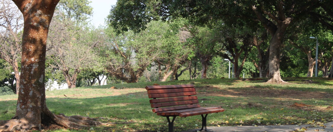 Parque Edith Wolfson